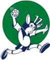 Celje Pivovarna Laško Handball Club